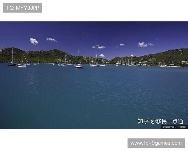 为何成年人总是无法掌握这些游戏技巧而一再失败的深层原因解析